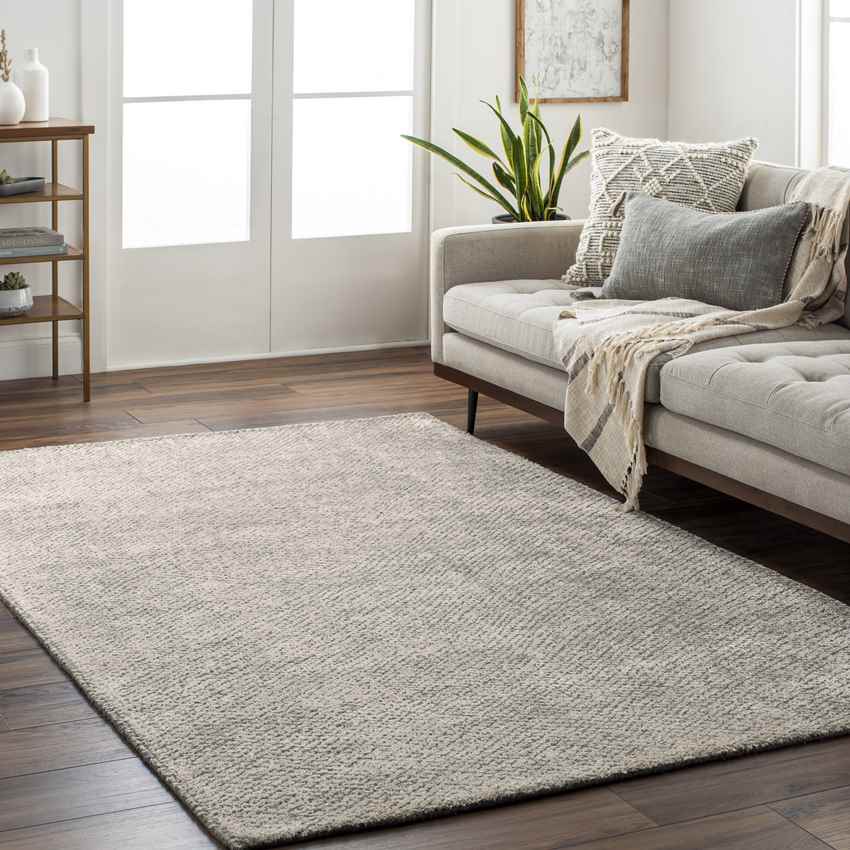 Somers Transitional Gray Area Rug