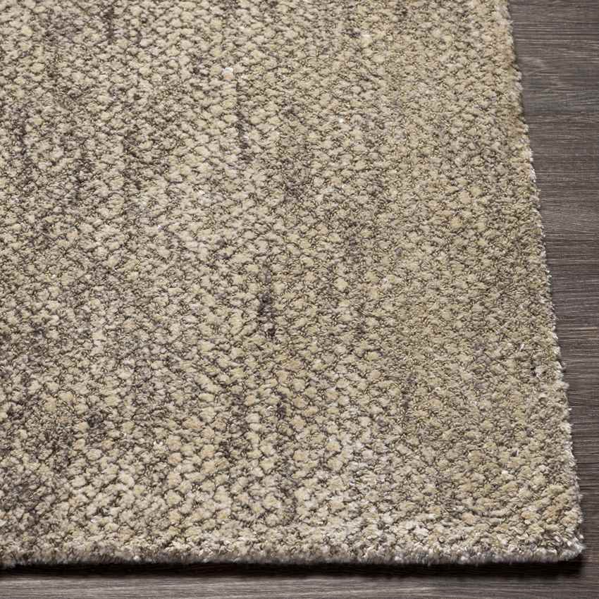 Somers Transitional Tan Area Rug