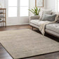 Somers Transitional Tan Area Rug