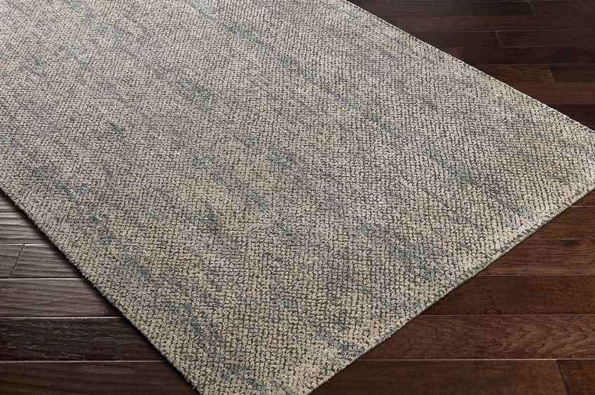 Somers Transitional Taupe Area Rug