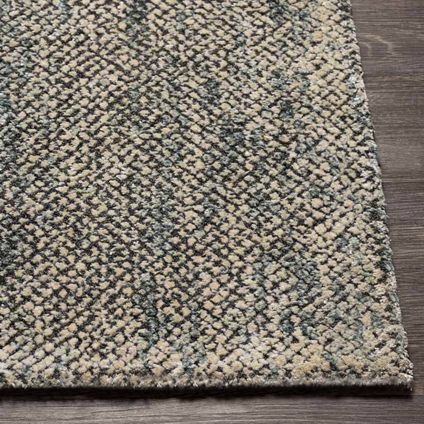 Somers Transitional Taupe Area Rug