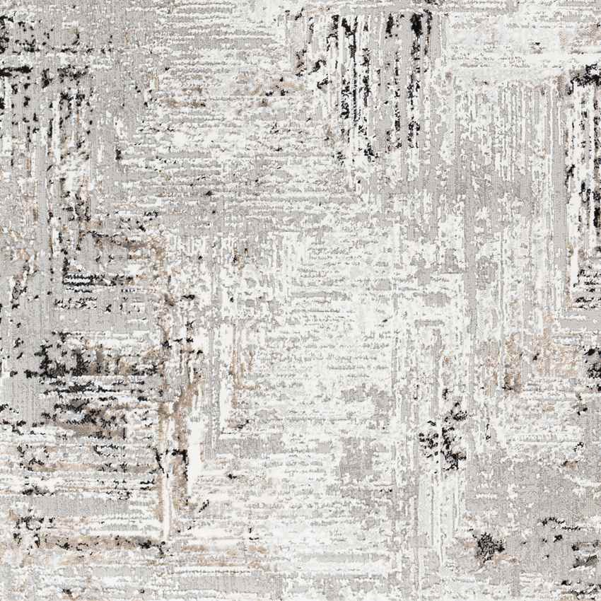 Grinnell Modern Gray Area Rug