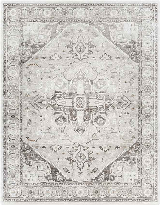 Griswold Traditional Gray Area Rug