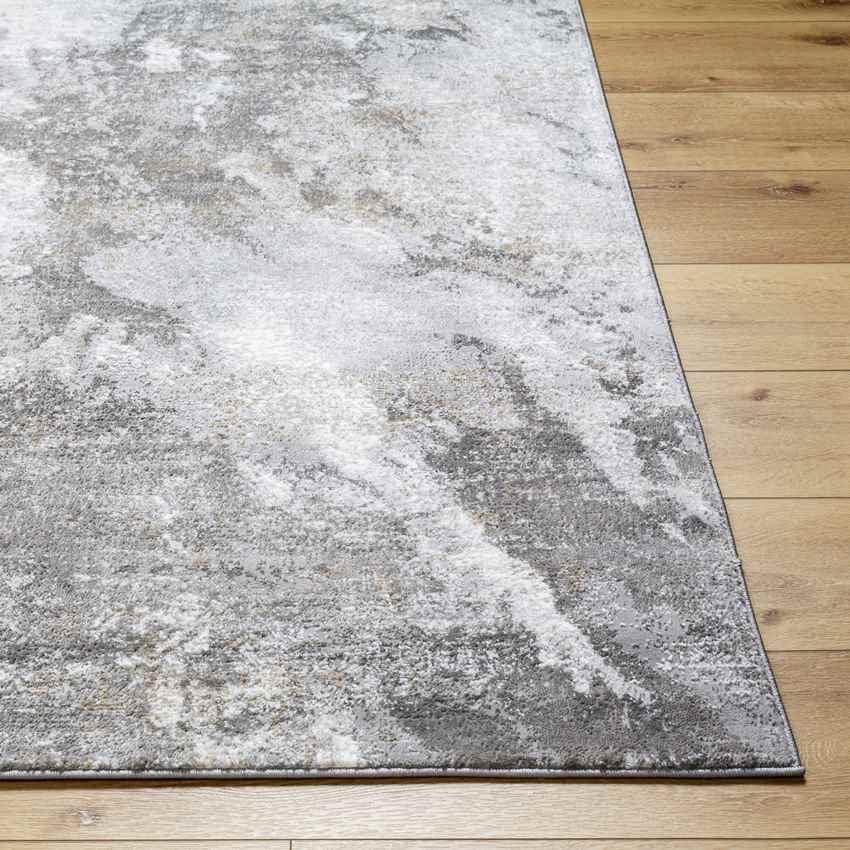 Guthrie Center Modern Light Gray Area Rug