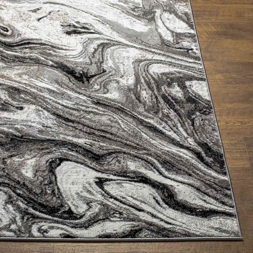 Halbur Modern Charcoal Area Rug