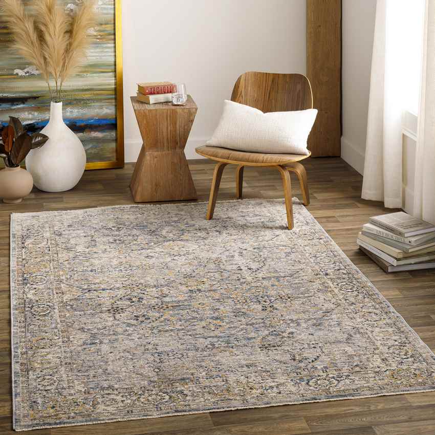 Harpers Ferry Traditional Denim Area Rug