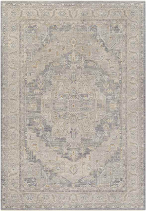 Varvara Traditional Light Gray Area Rug