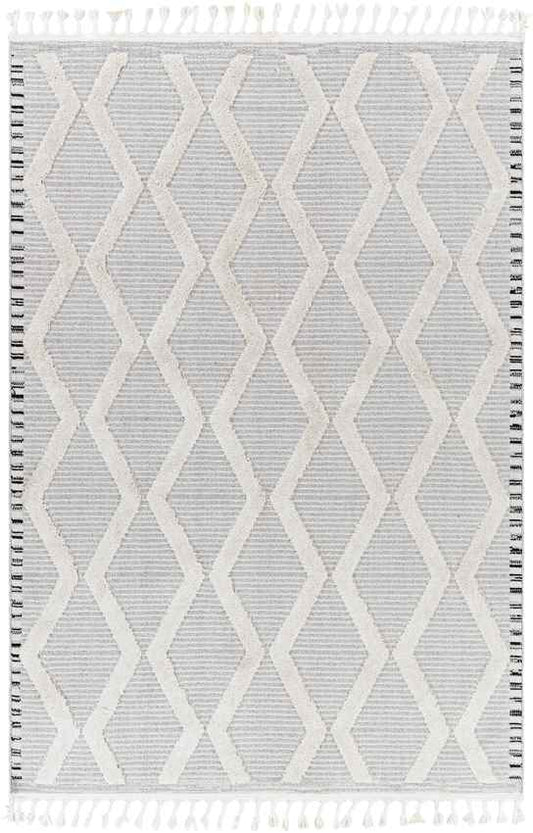 Ammochostos Global Gray Area Rug