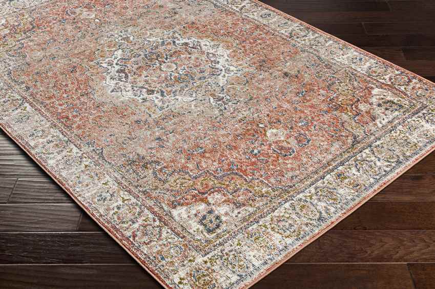 Lake Park Traditional Burnt Orange Area Rug