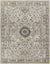 Lake View Traditional Ivory Area Rug