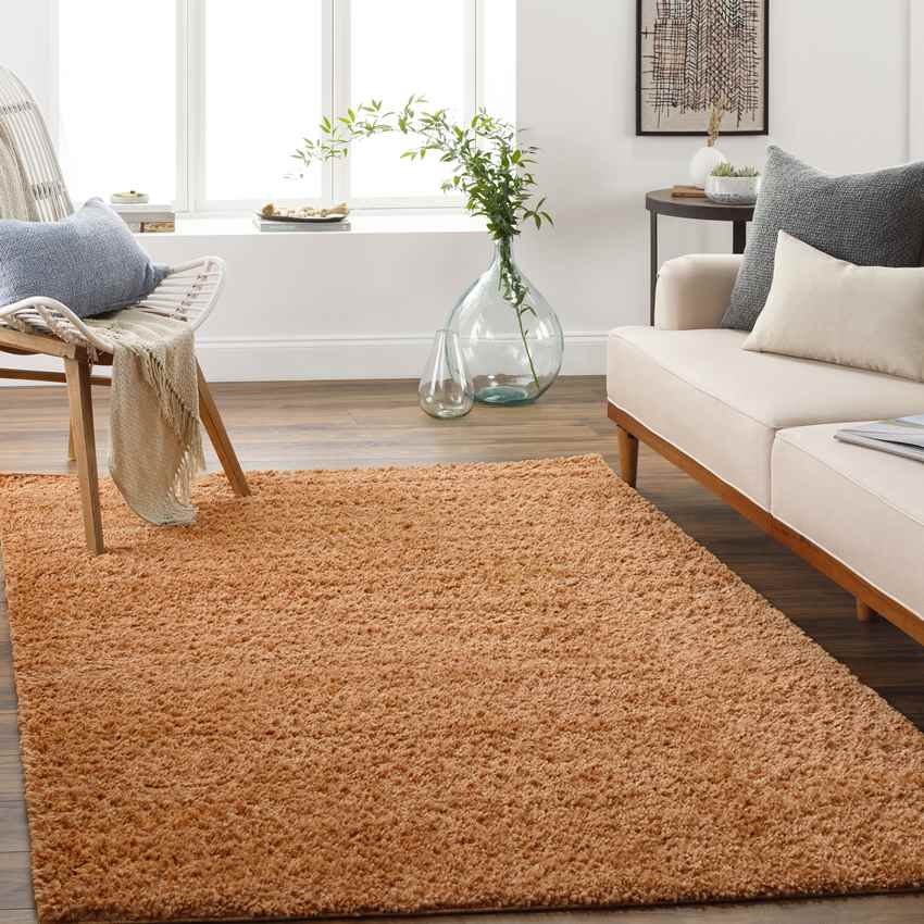 Vere Solid And Border Burnt Orange Area Rug - Bold & Stylish
