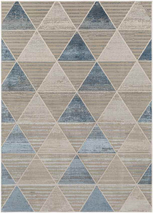 Panagra Modern Beige Area Rug