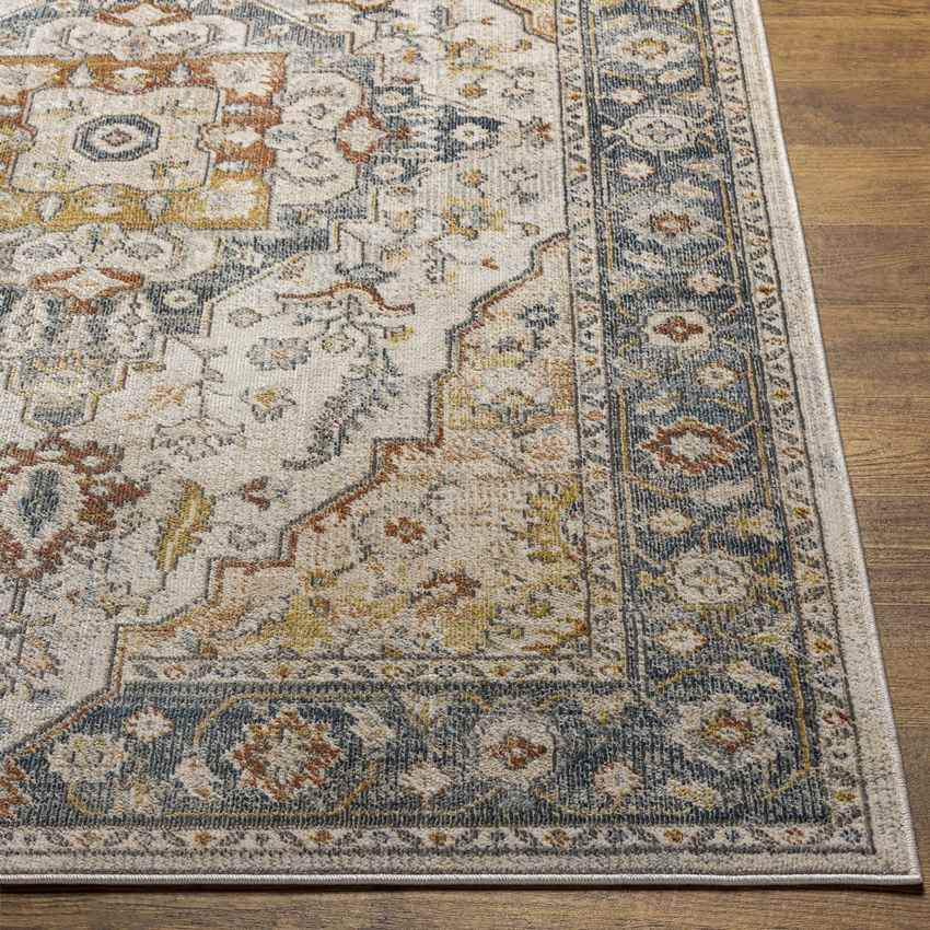 Andreas Traditional Ivory Area Rug