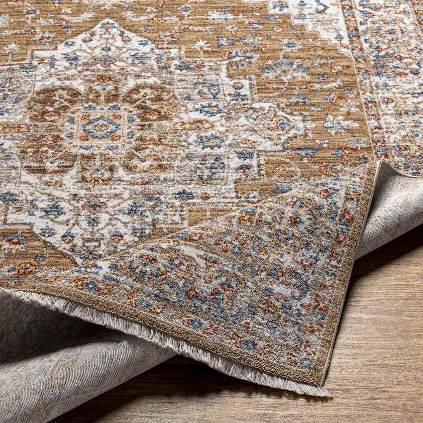 Hornick Traditional Orange Area Rug