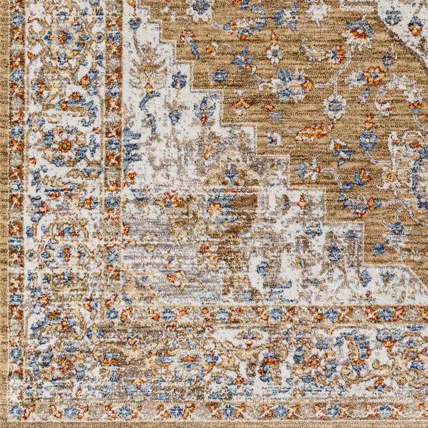 Hornick Traditional Orange Area Rug