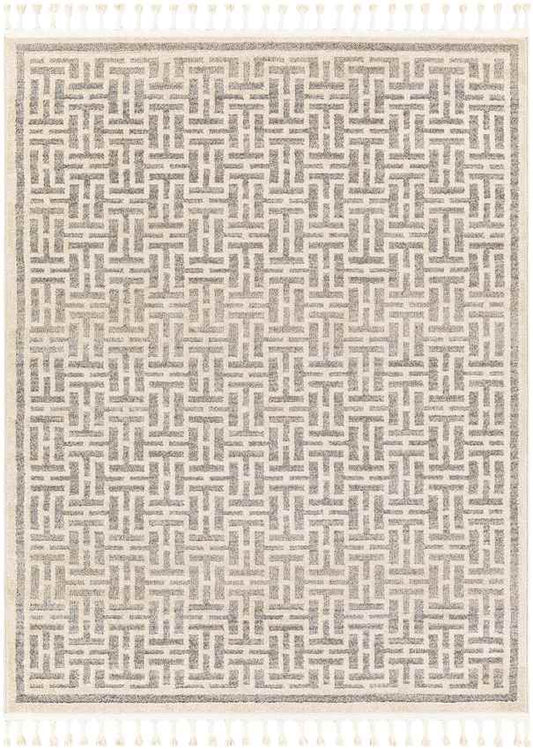 Asomatos Modern Gray Area Rug