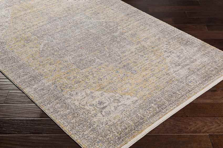 Neo Traditional Gray Area Rug
