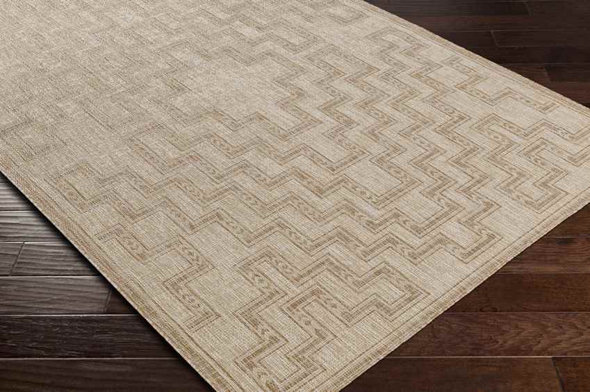 Jewell Junction Global Beige Area Rug