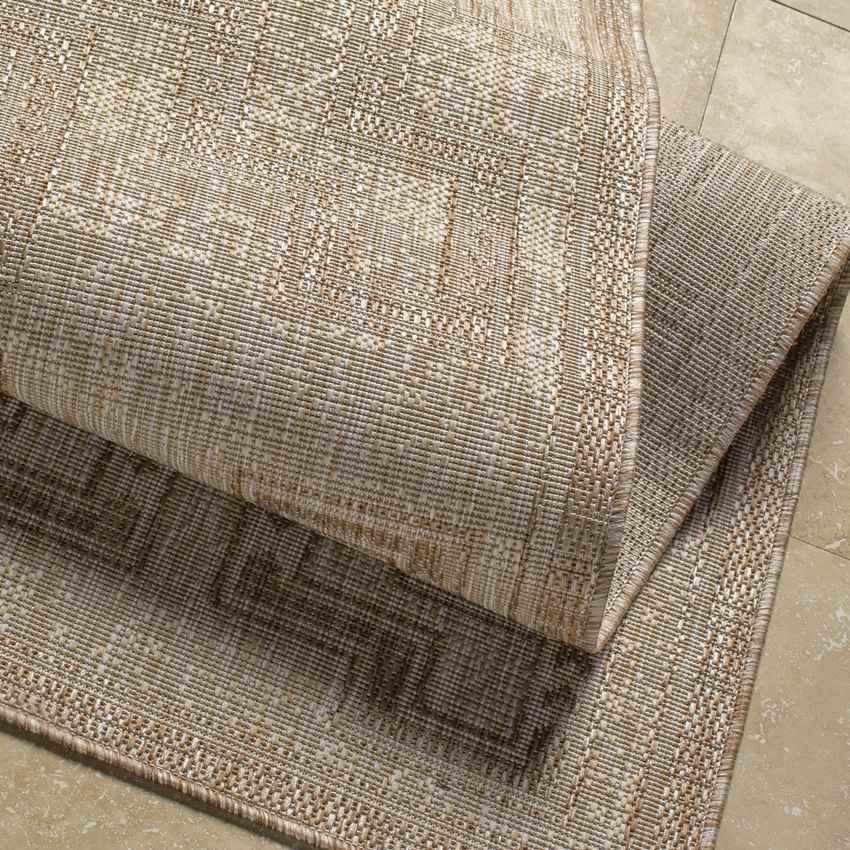 Jewell Junction Global Beige Area Rug