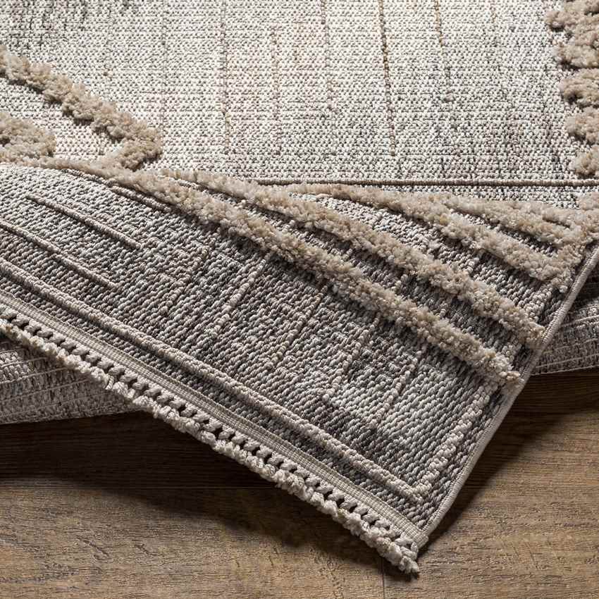 Ledyard Global Gray Area Rug