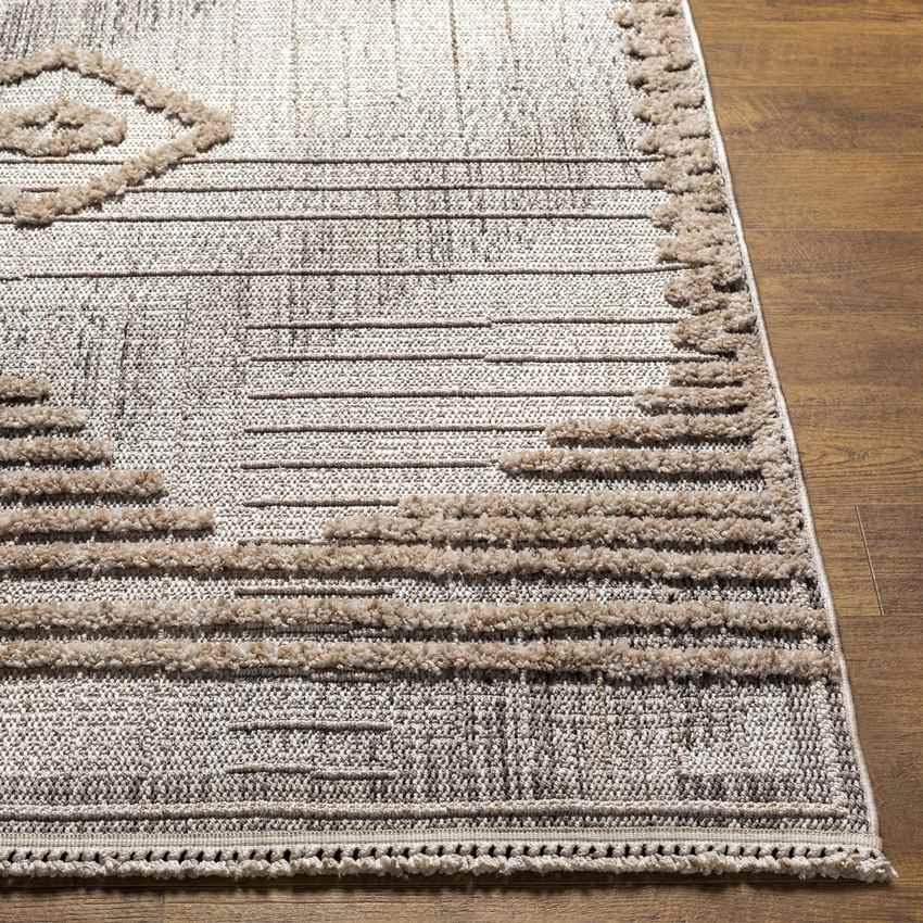 Ledyard Global Gray Area Rug