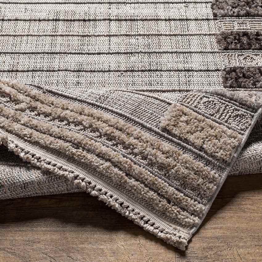 Le Claire Global Charcoal Area Rug