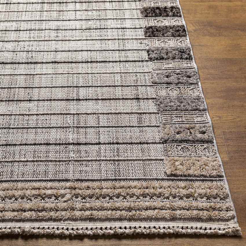 Le Claire Global Charcoal Area Rug