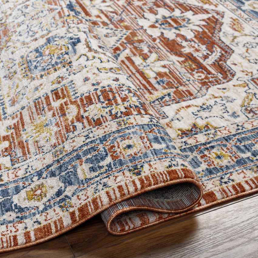 Asbury Traditional Dark Red Area Rug