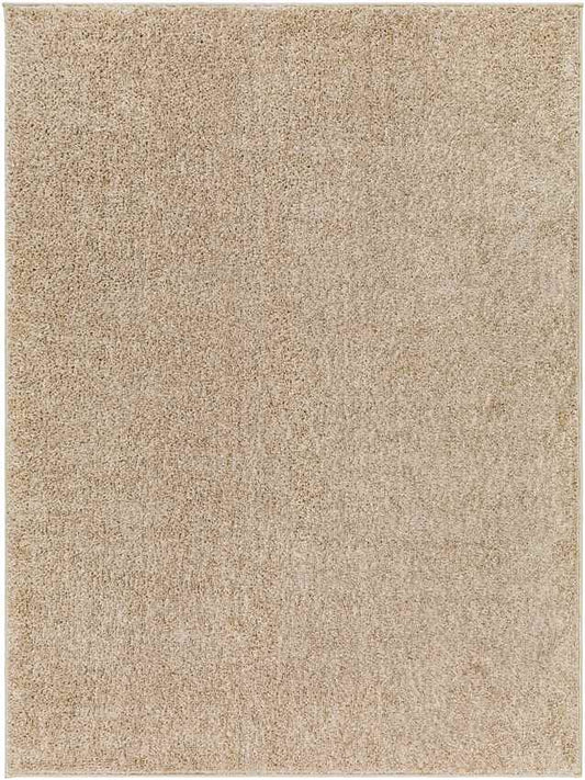 Richlawn Modern Brown Washable Area Rug