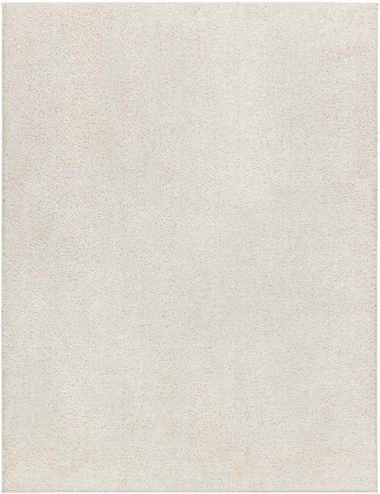 Richlawn Modern Light Beige Washable Area Rug