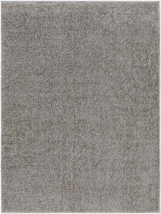 Richlawn Modern Charcoal Gray Washable Area Rug