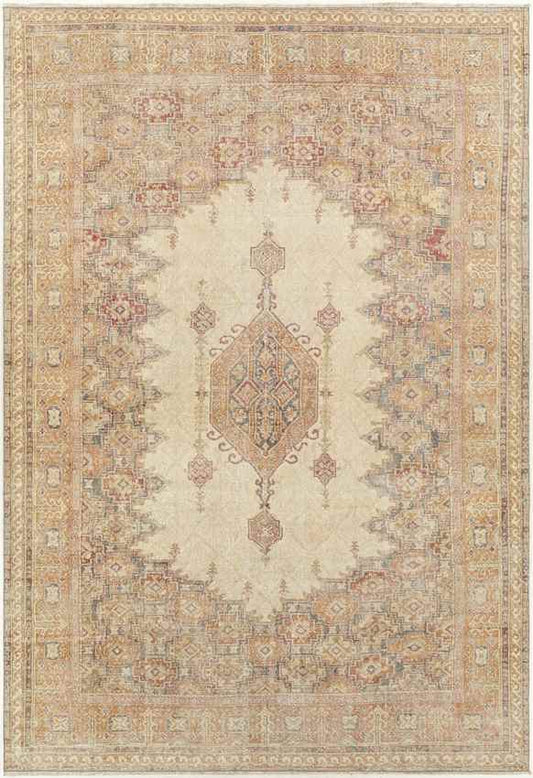Potwin Traditional Cider Area Rug