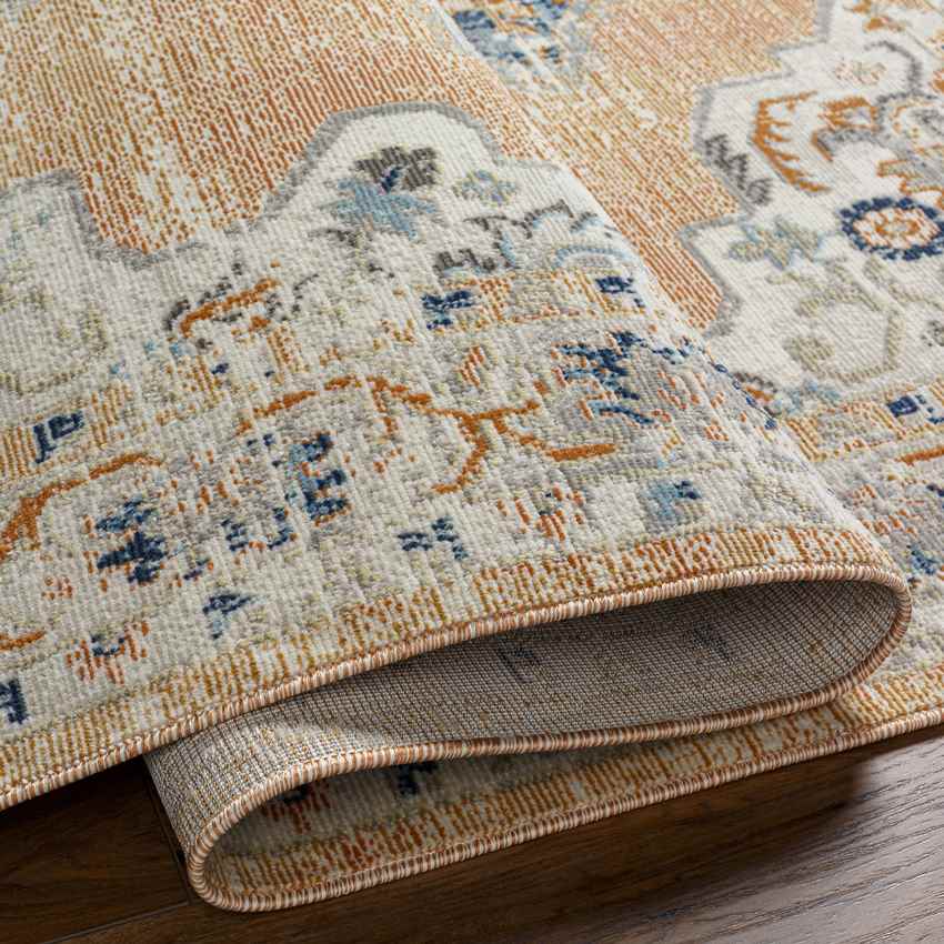 Riverwood Traditional Cider Area Rug