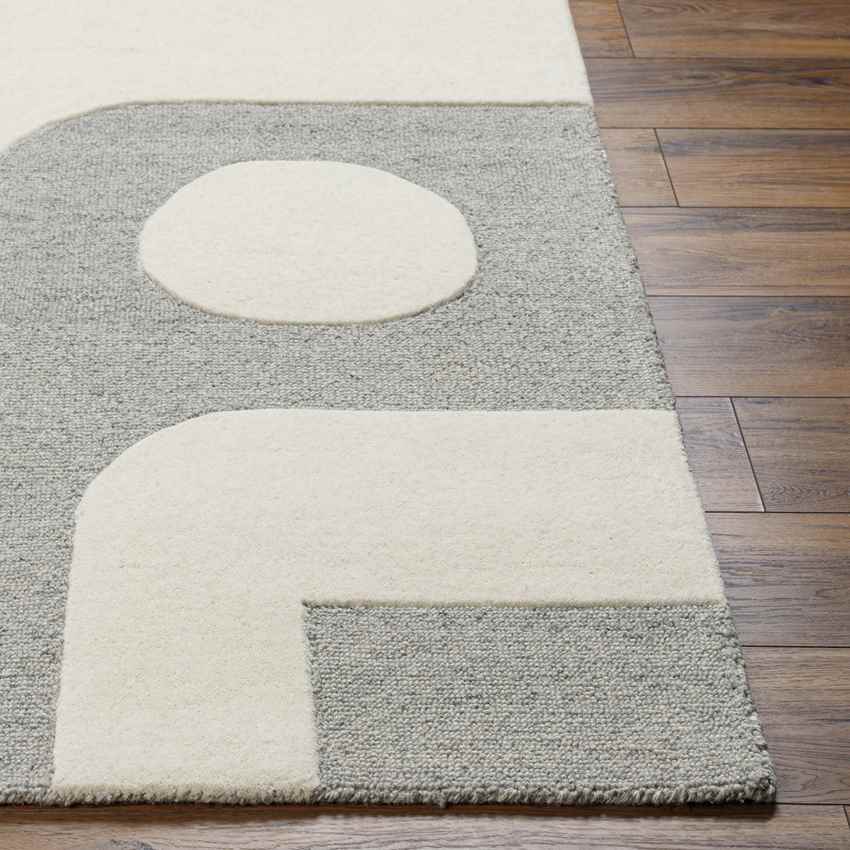 Guthrie Modern Light Gray/Beige Area Rug