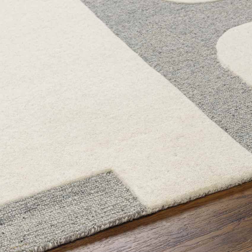 Guthrie Modern Light Gray/Beige Area Rug