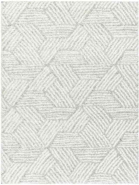 Brooke Modern Light Gray Area Rug