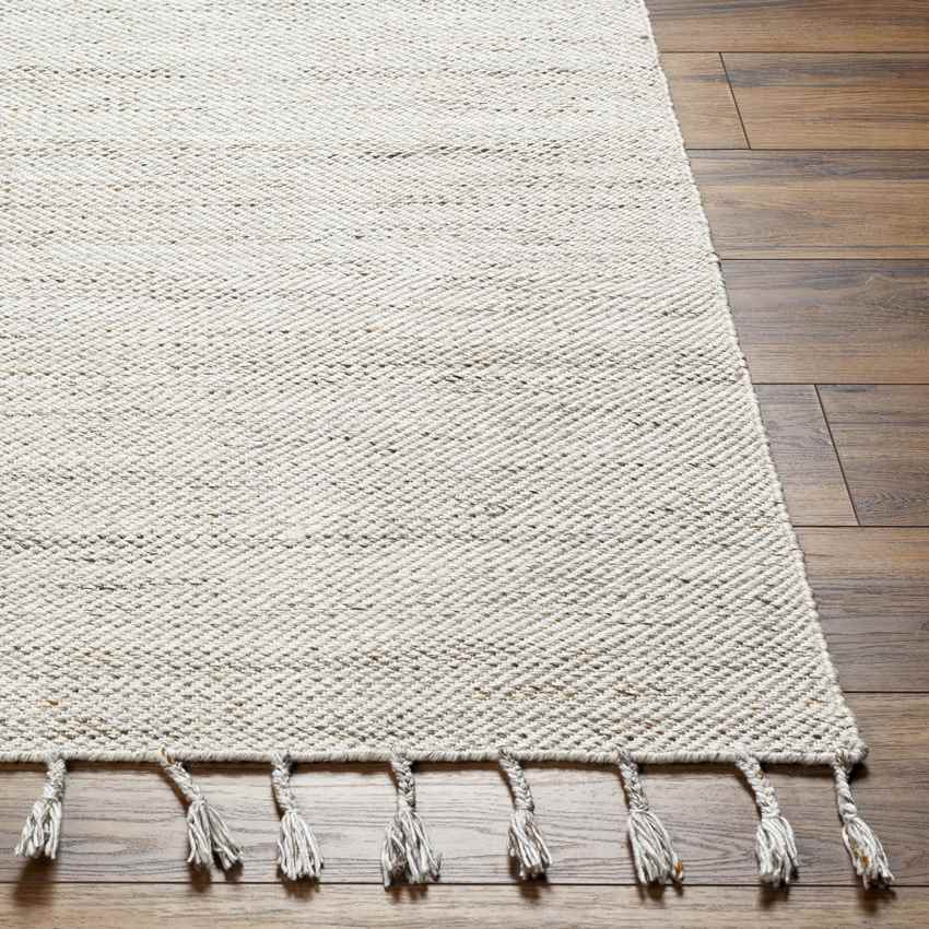 Hopkins Cottage Beige Area Rug