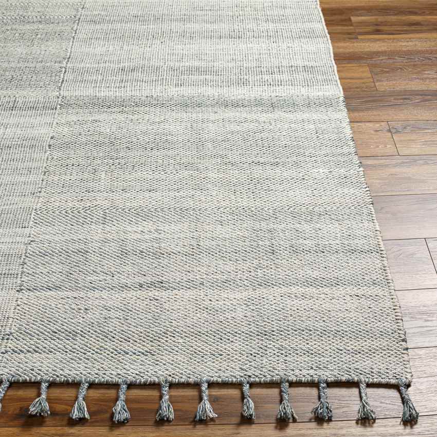 Hopkins Cottage Denim Area Rug