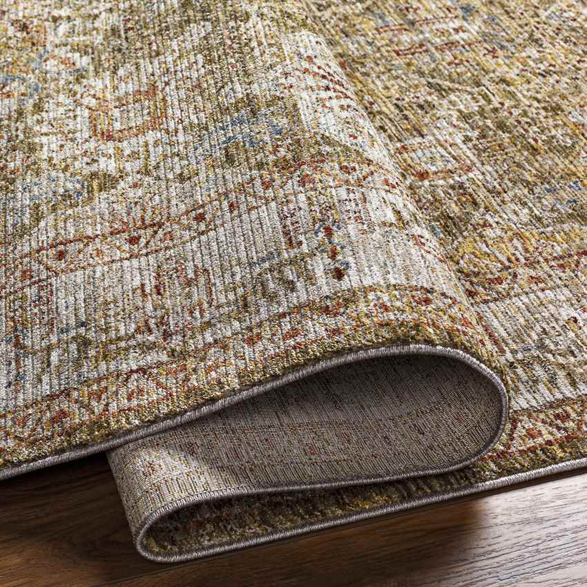 Belvue Traditional Olive Area Rug