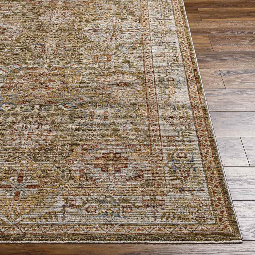 Belvue Traditional Olive Area Rug