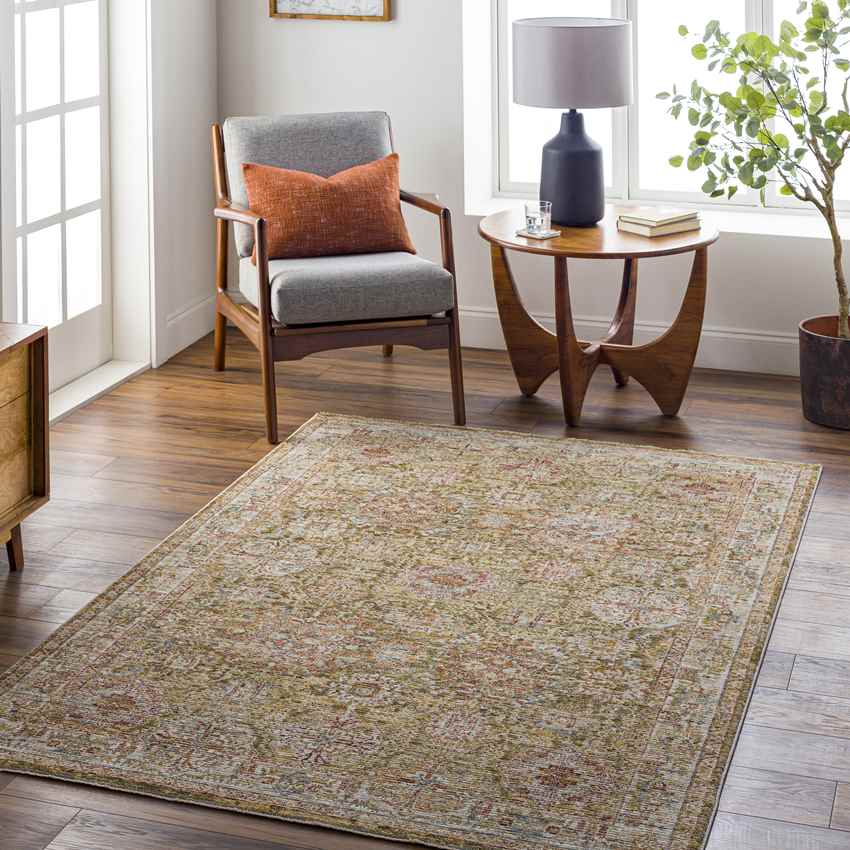 Belvue Traditional Olive Area Rug