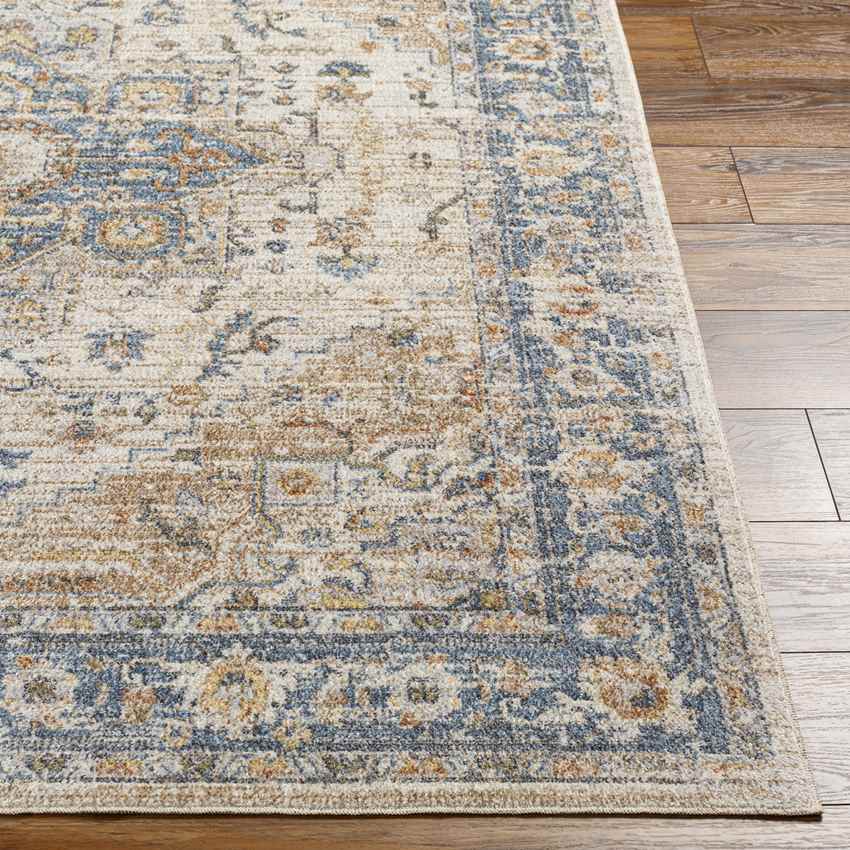 Estill Traditional Beige Washable Area Rug