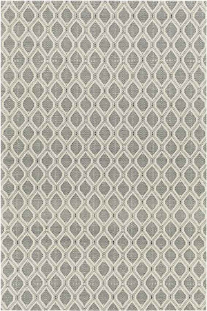 De Witt Modern Charcoal Area Rug