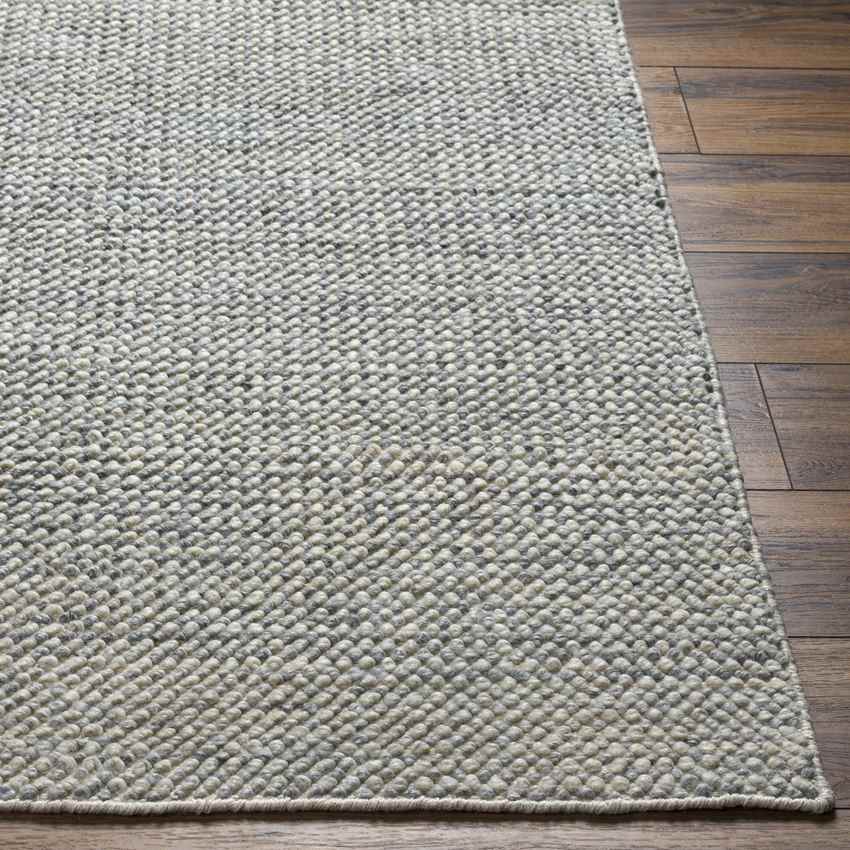 Kirwin Modern Beige/Gray Area Rug