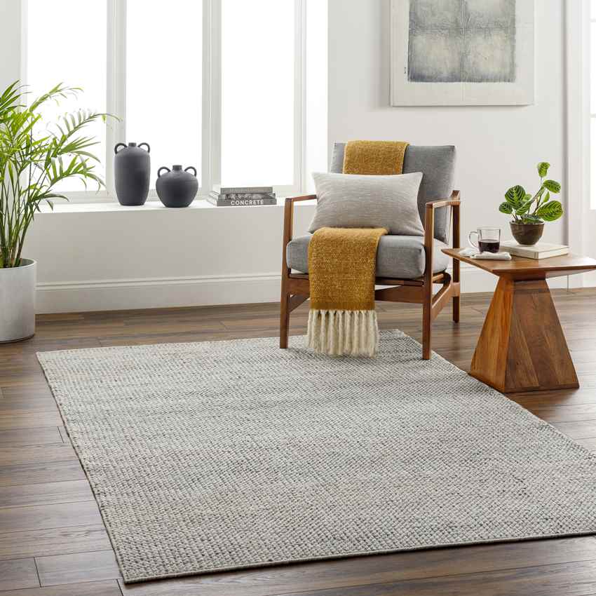 Kirwin Modern Beige/Gray Area Rug