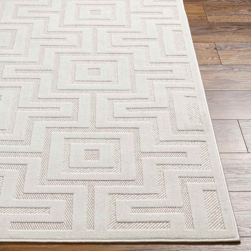 Chanute Modern Beige Area Rug
