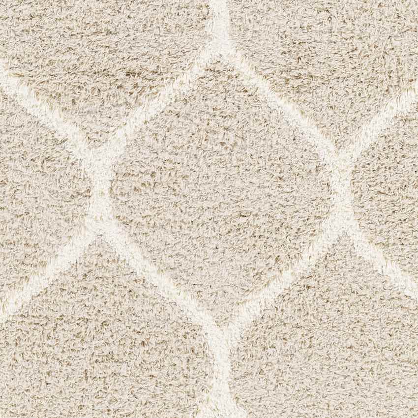Blockton Cottage Beige Area Rug