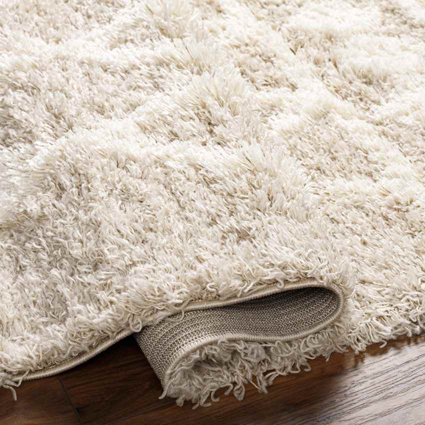 Booth Modern Light Beige Area Rug