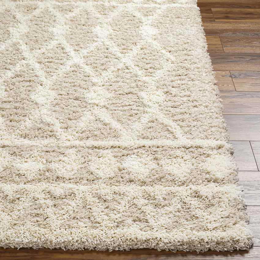 Booth Modern Light Beige Area Rug
