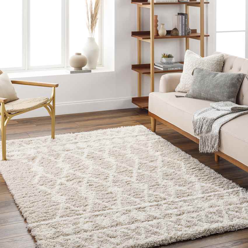 Booth Modern Light Beige Area Rug